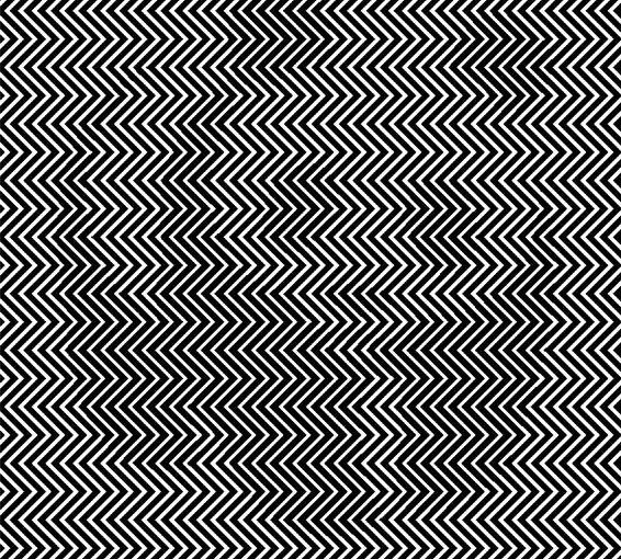 คุณสามารถหา Hidden Panda ได้จากใน Zig Zag Optical Illusion นี้หรือไม่?