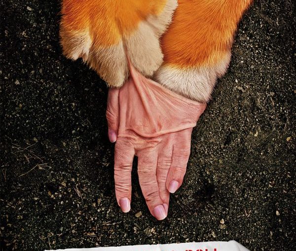 WWF โปสเตอร์ต่อต้านการฆ่าสัตว์สำหรับสินค้าวัสดุ #WWF #Advertising …